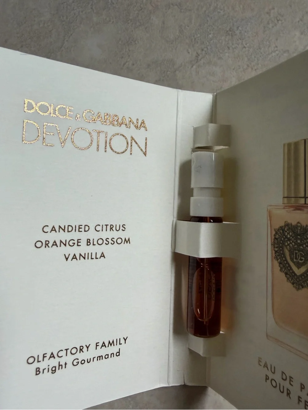 Dolce & Gabbana inside samples